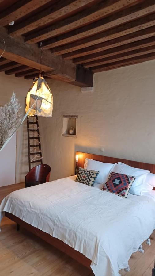 De Zomere B&B Bruges Exterior photo
